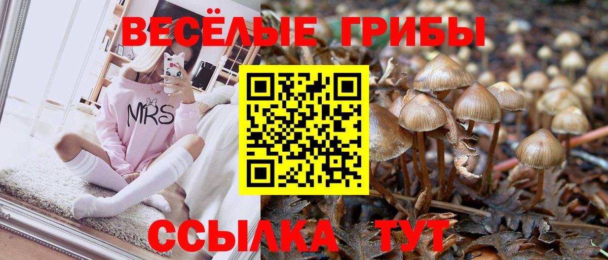 Нерюнгри  Псилоцибиновые грибы MAGIC MUSHROOMS  купить  сайты  Вход с VPN  Галлюциногенные грибы прущие грибы 